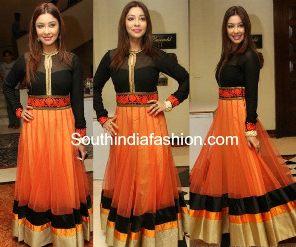 payal_ghosh_in_floor_length_anarkali