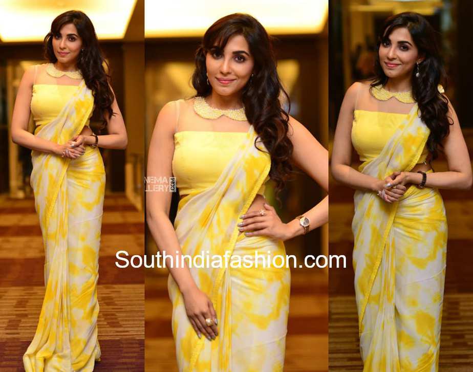 parvathy nair yellow saree neerali audio launch