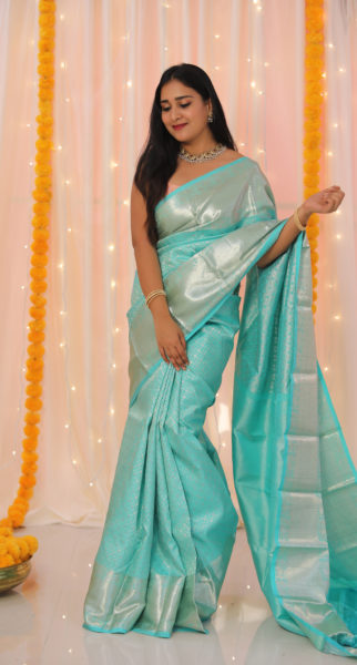 pattu sarees by priva collective (1)