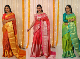 pattu sarees by priva collective (1)