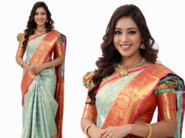 nivetha pethuraj at gv mall opening at kothagudem kanjeevaram saree