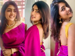 eesha rebba in pink saree for dussera (3)