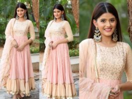 Anahita Bhooshan in pink anarkali at Seethayanam Movie Trailer Launch