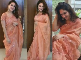 sridevi vijaykumar in an organza mirror work saree