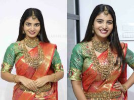 ananya nagalla temple jewellery kanjeevaram saree (1)